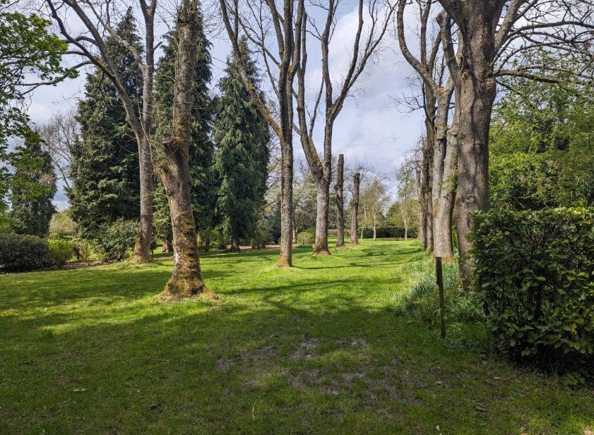National Trust - Whipsnade Tree Cathedral, United Kingdom